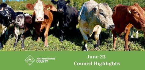 13_June_23_Council_Highlights