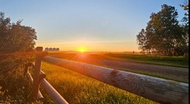 160-Anna_Noble_-_Farm_Sunset