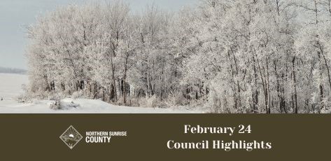 4_February_24_Council_Highlights