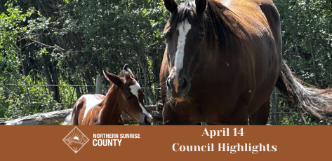 7_April_14_Council_Highlights