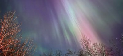 97-Shawneen_Webb_-_Northern_Lights