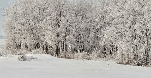 9_-_Steve_Land_-_Snow_Frost