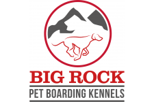 Big Rock Pets