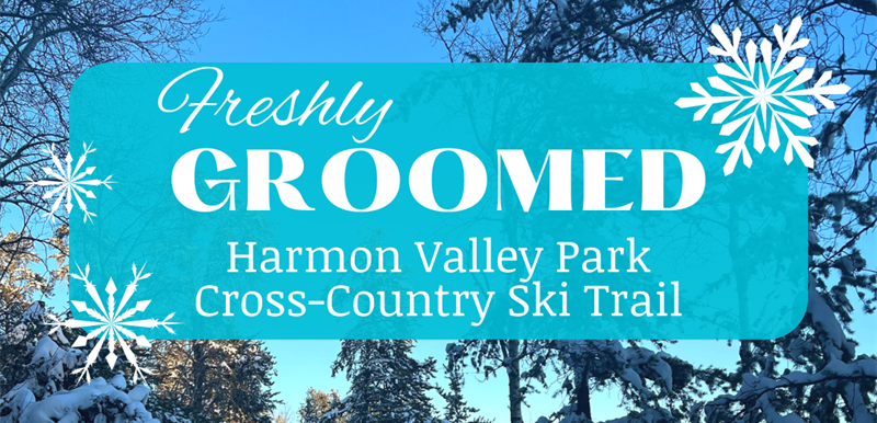 HVP__Murphy_Posts_(1)