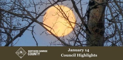 January_14_Council_Highlights