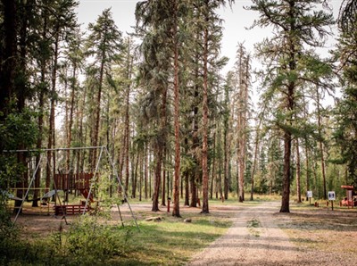 harmon valley playground campground