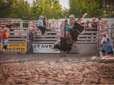 harmon valley rodeo