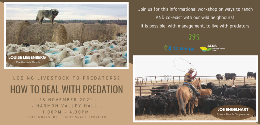Livestock Predation Workshop Poster