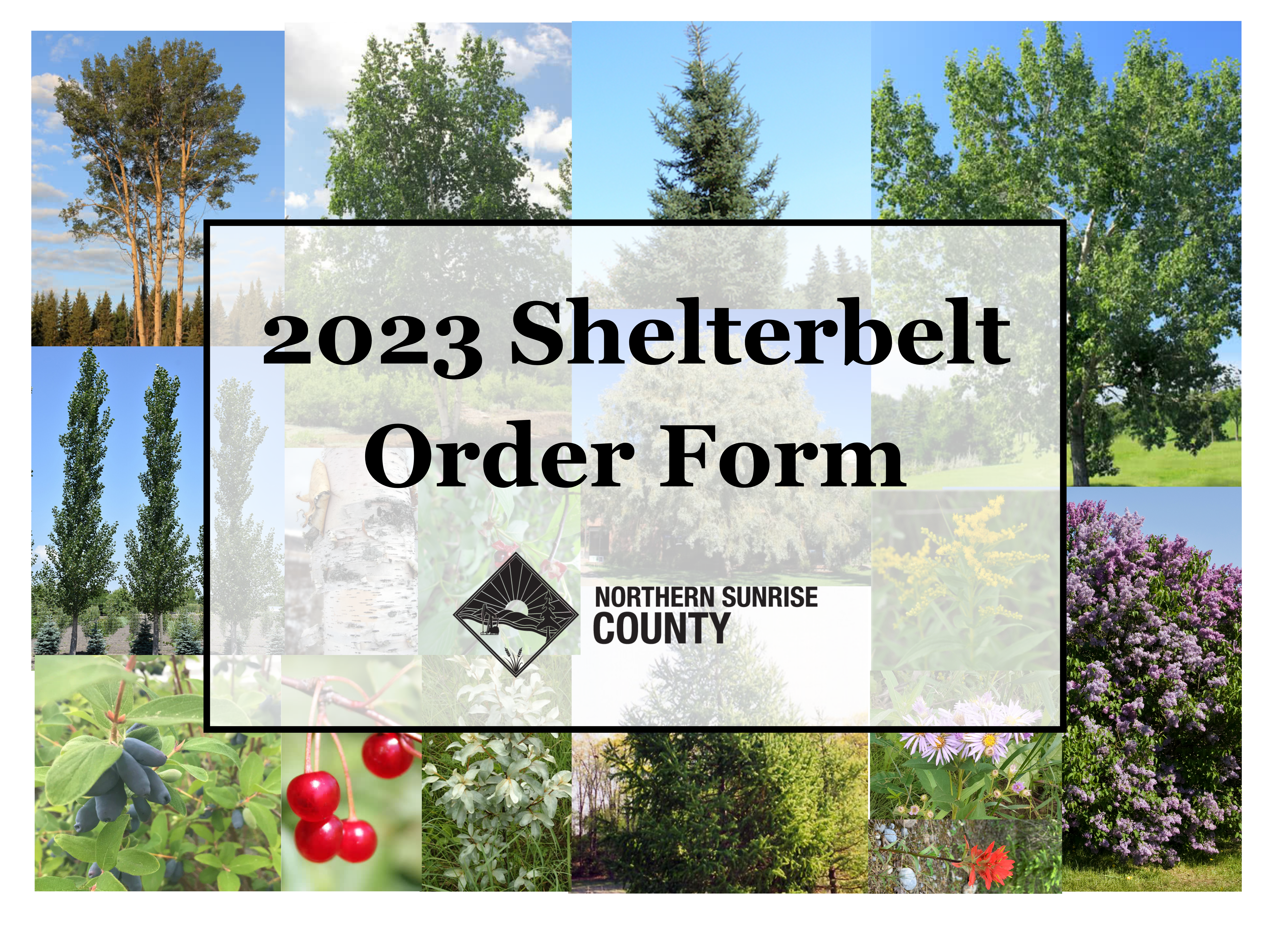 Featured image for “2023 NSC Shelterbelt Order Form”