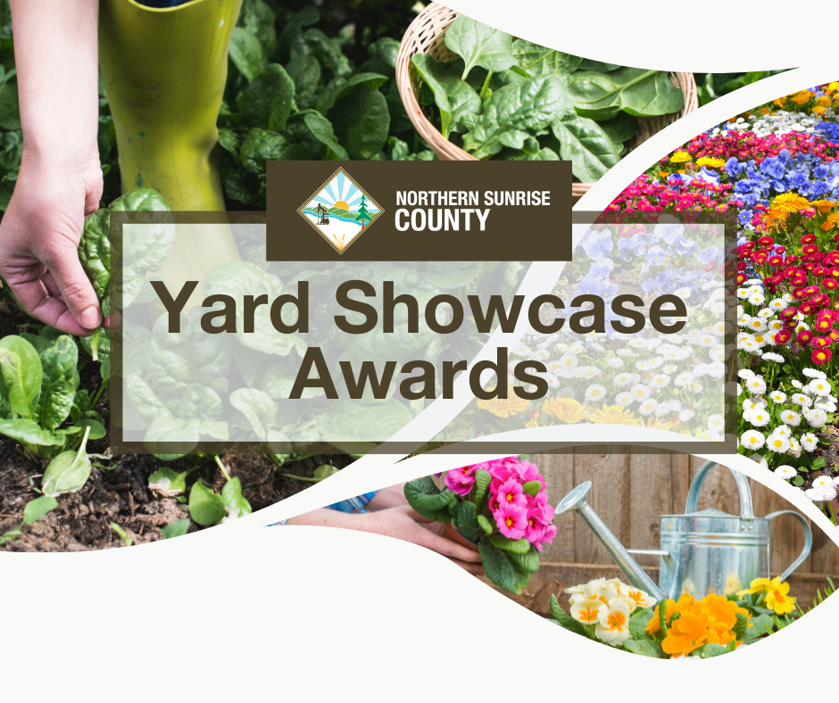 Featured image for “Northern Sunrise County Yard Showcase 2024”