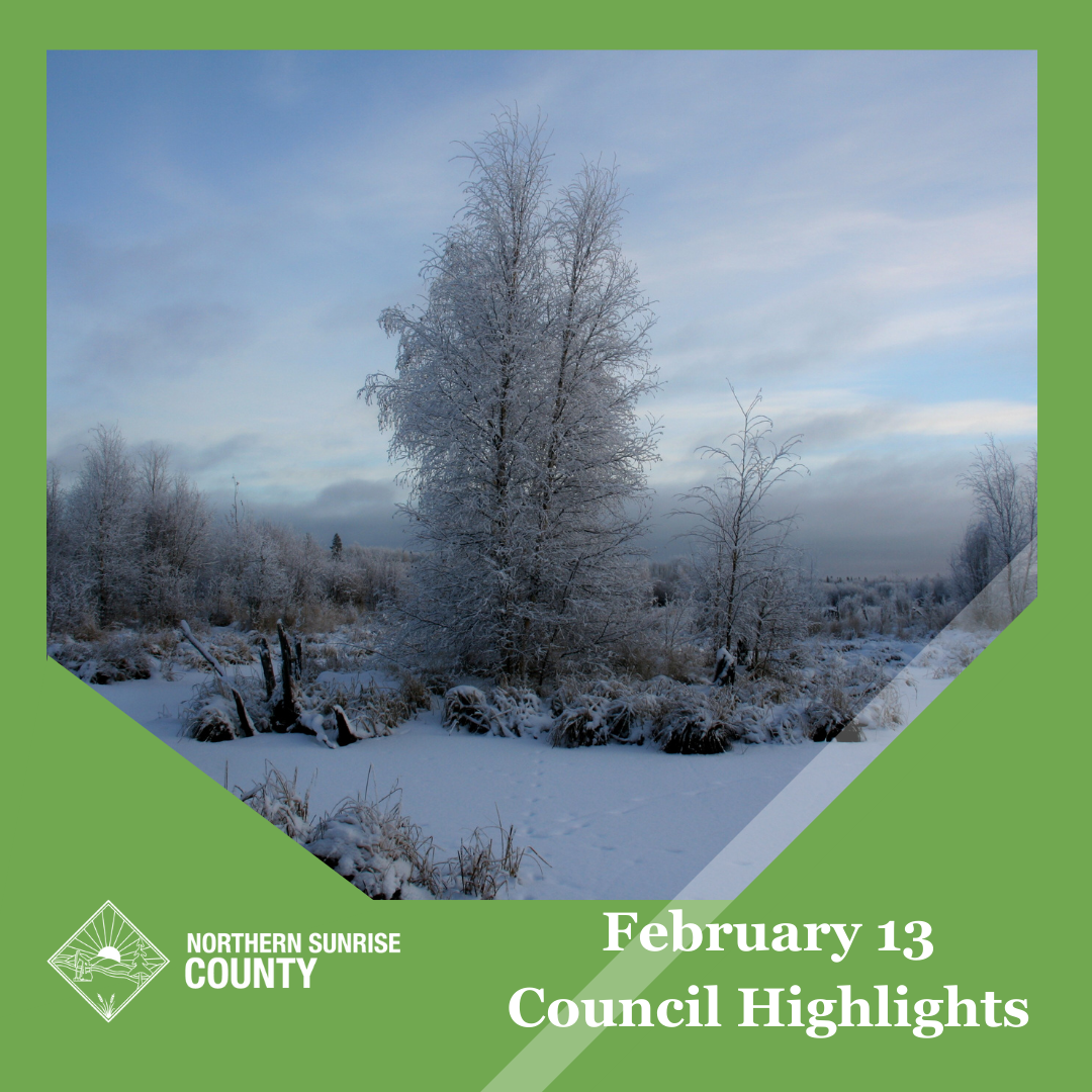 Featured image for “February 13, 2024 Council Meeting Highlights”
