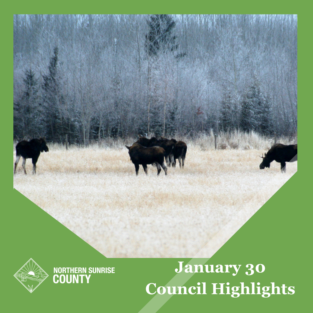 Featured image for “January 30 Council Highlights”