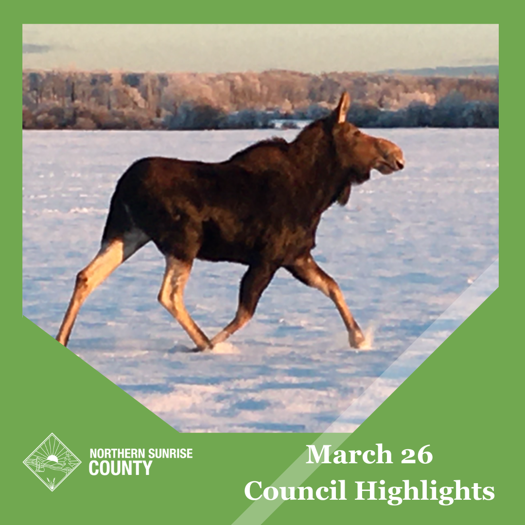 Featured image for “March 26, 2024 Council Meeting Highlights”