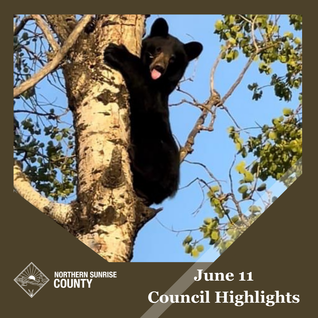 Featured image for “June 11, 2024 Council Meeting Highlights”