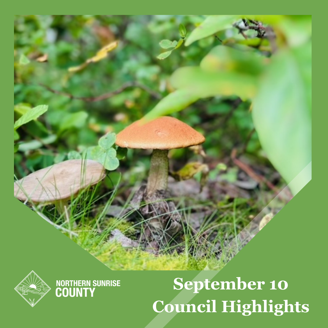 Featured image for “September 10, 2024 Council Highlights”