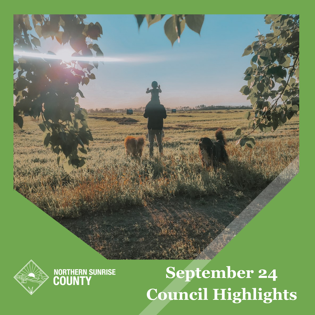 Featured image for “September 24, 2024 Council Highlights”